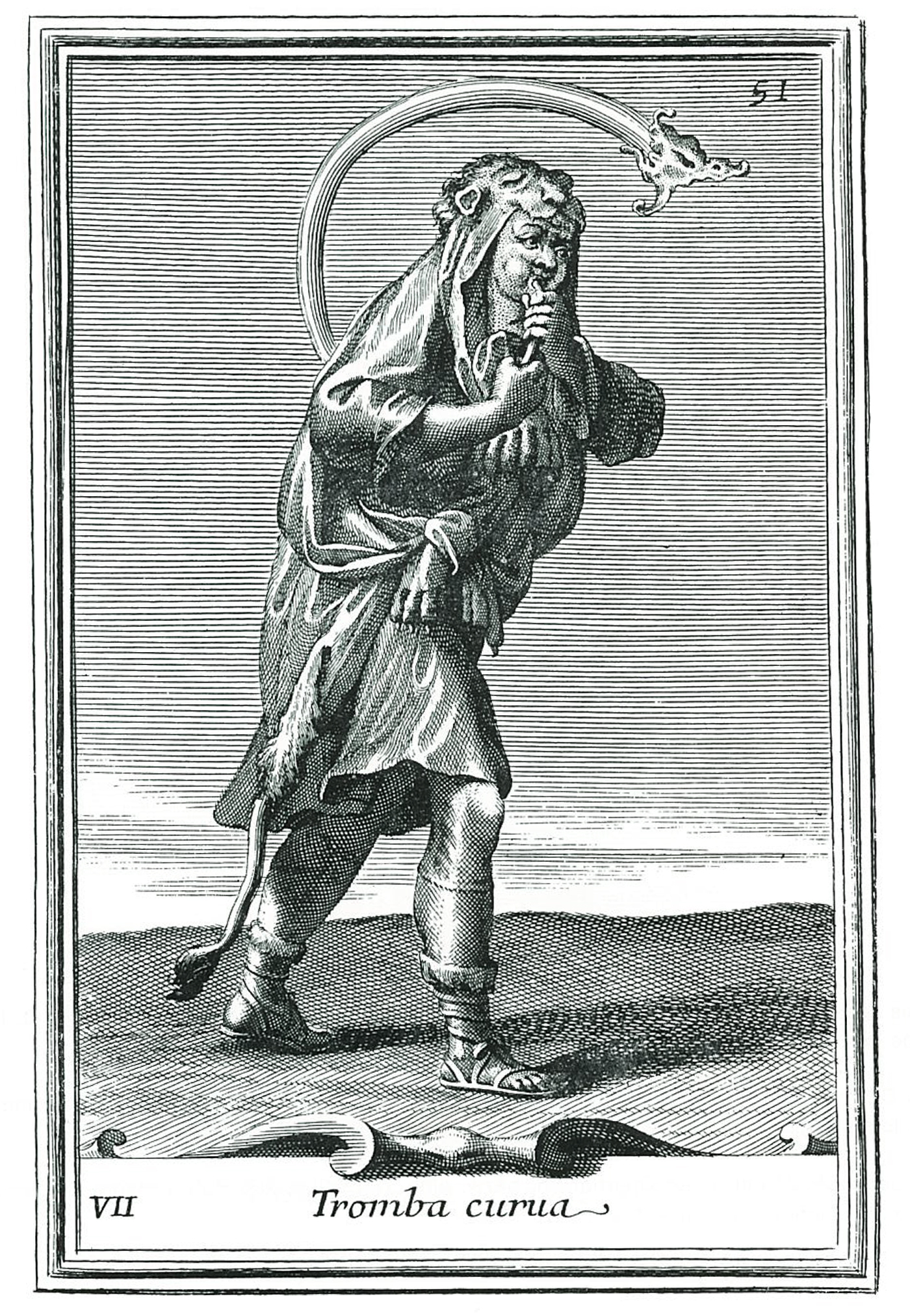 Le cornu (cor) romain était fait d'un tuyau de bronze conique, en forme de G. On l'employait chez les militaires et à l'...
