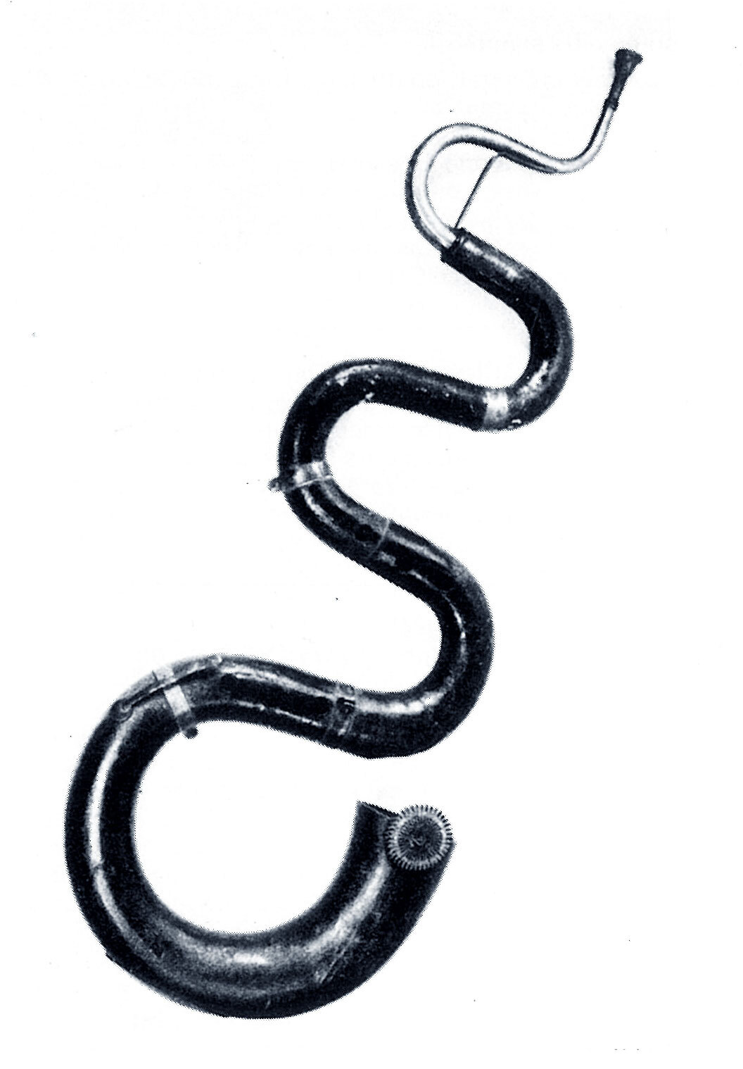 The serpent from the collection (Cat. no. H 1951-27)