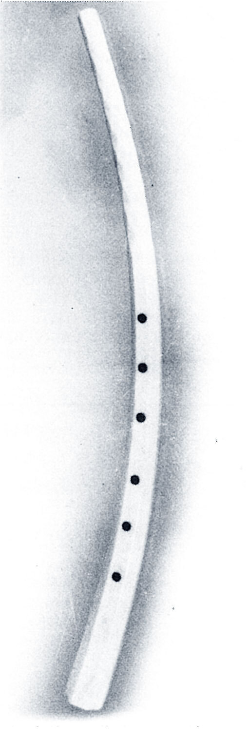 The ivory cornetto from the collection (Cat. no. H 1876.147.10)