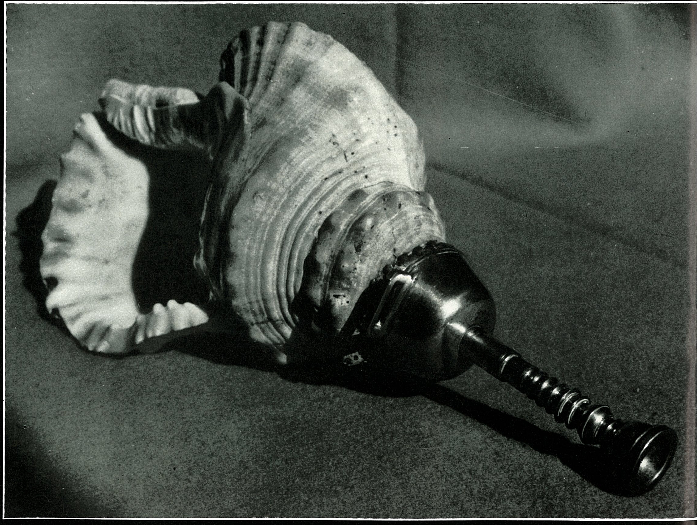 Étrange accouplement d’un coquillage et d’une embouchure (baroque?). Un son qui se perd dans la nuit des temps... (MNB)
