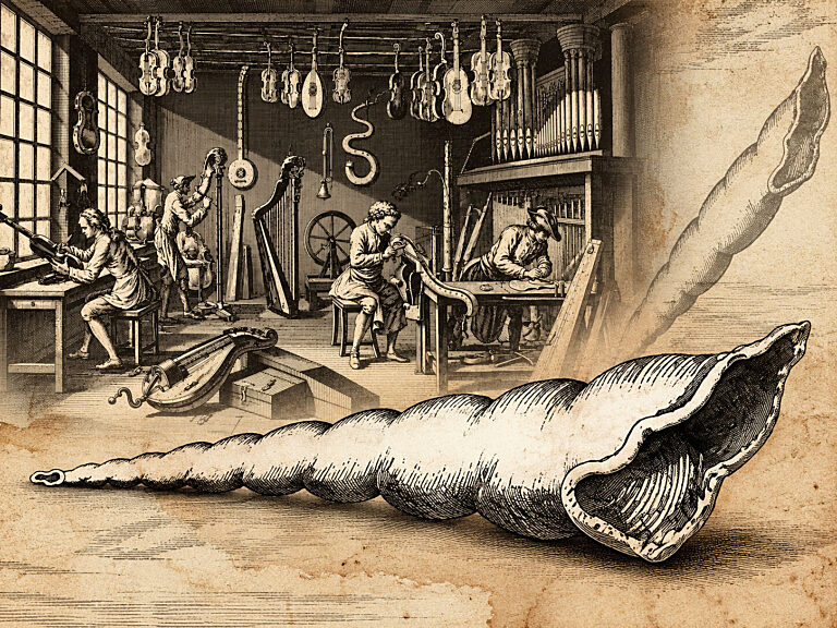 The Art of the Musical Instrument Maker