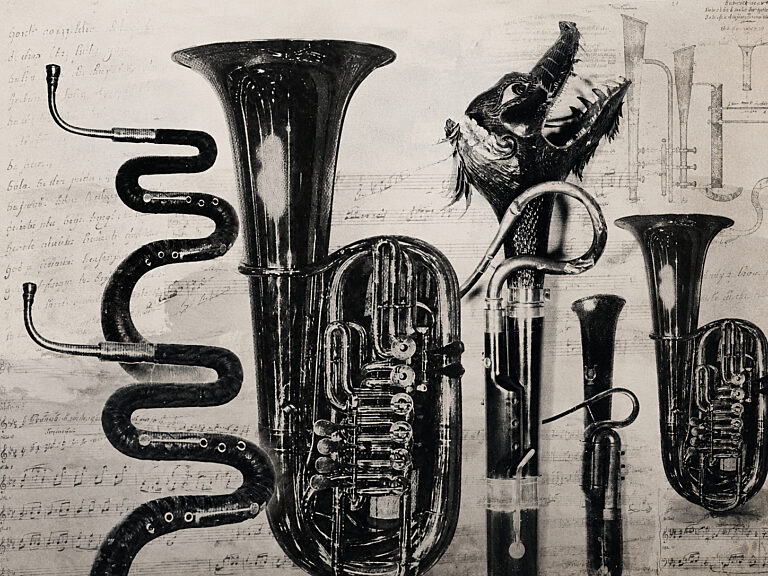 The tuba, Benjamin of the brass family
