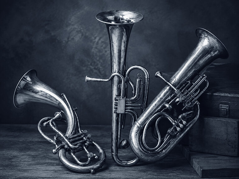 The Euphonium in America