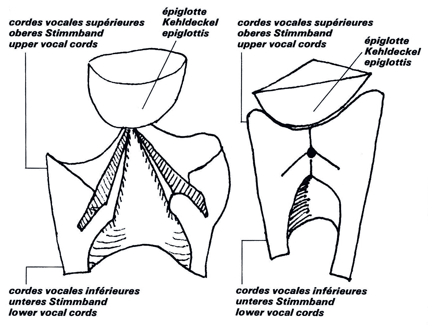 Figure 3bis